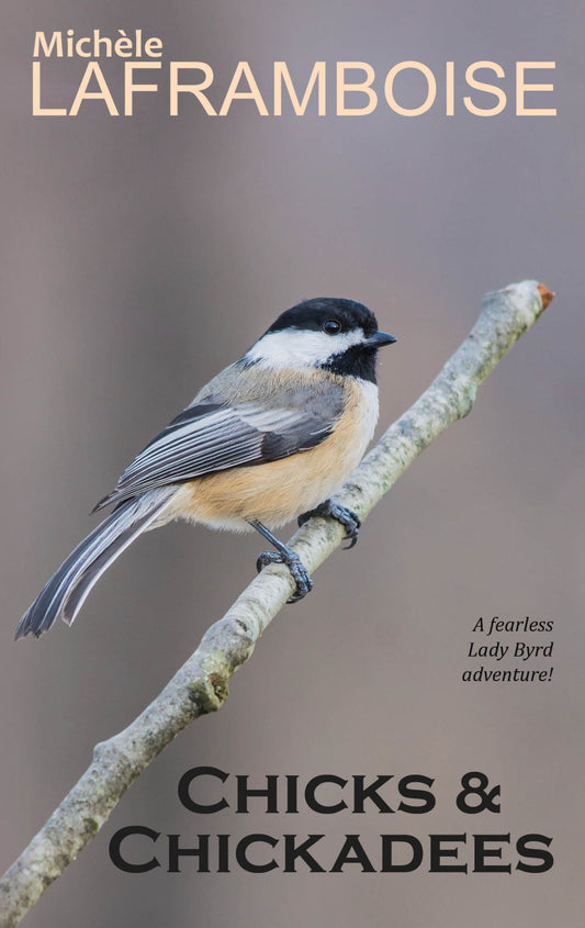 Chicks & Chickadees