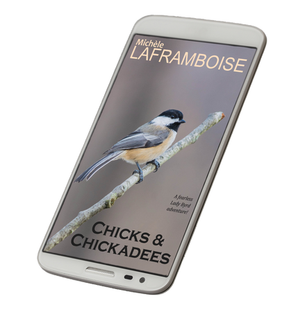 Chicks & Chickadees