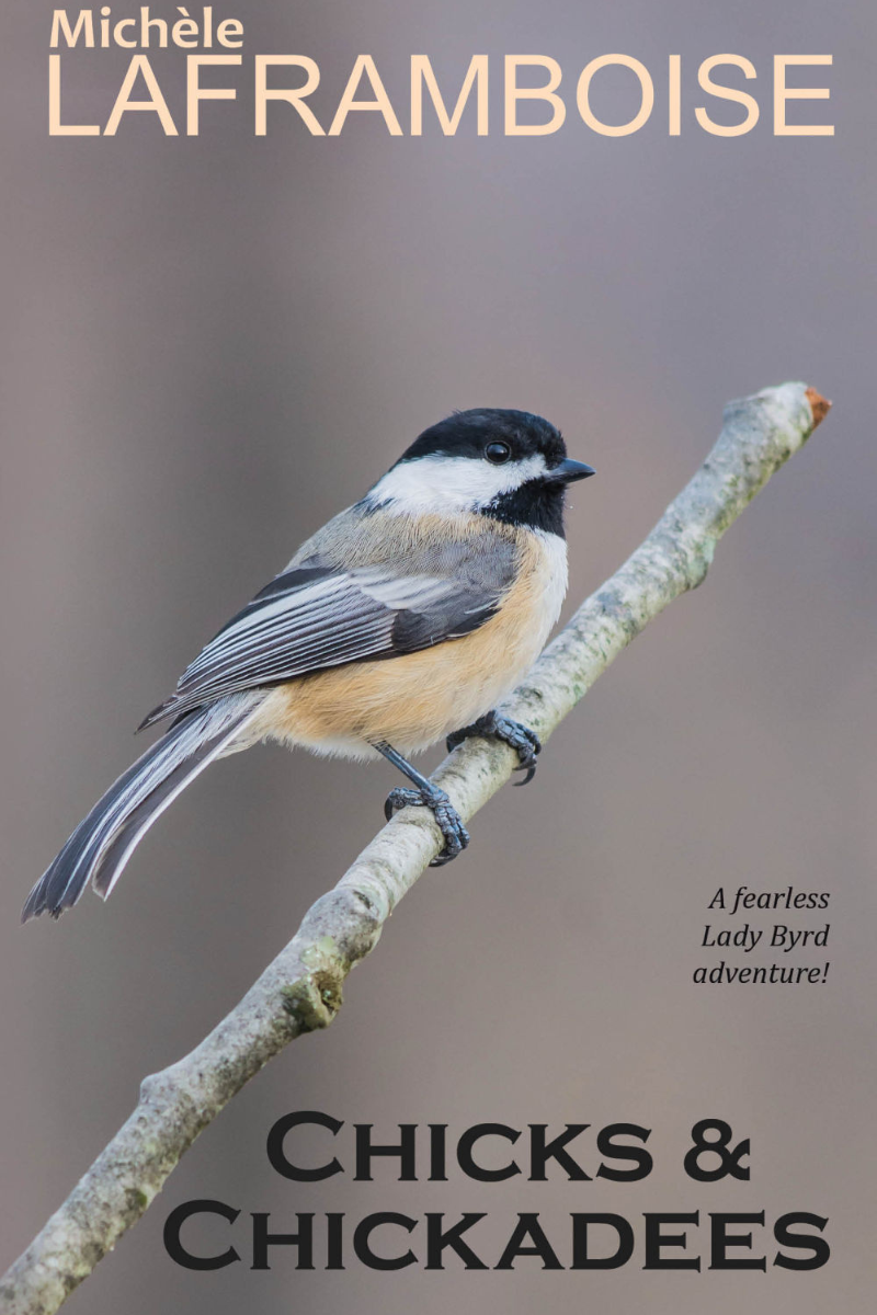 Chicks & Chickadees