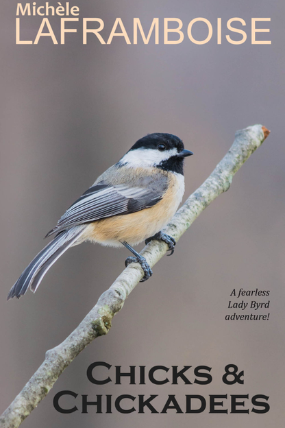 Chicks & Chickadees