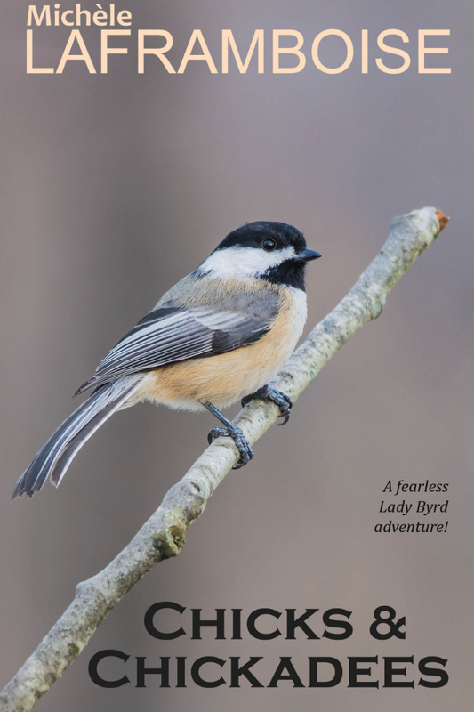 Chicks & Chickadees