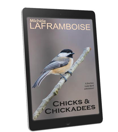 Chicks & Chickadees